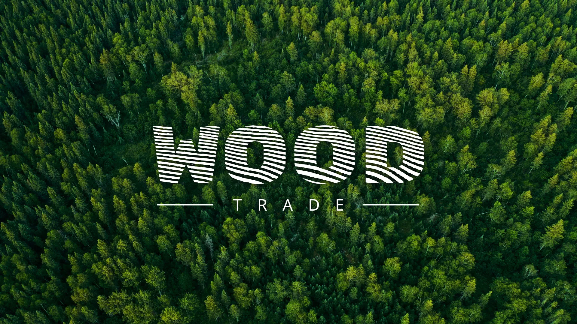 Разработка интернет-магазина компании «Wood Trade» в Чебаркуле