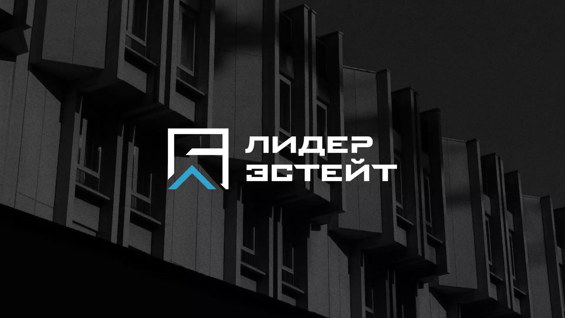 Разработка логотипа агентства недвижимости «Лидер Эстейт» в Чебаркуле
